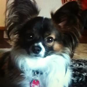 Meet your Posher, Teresa